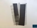 une image représentant une photo en noir et blanc de deux grands immeubles