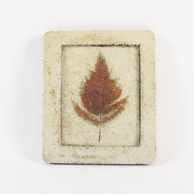 une photo d'une feuille dans un cadre carré