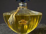 a bottle of perfume sitting on top of a rock