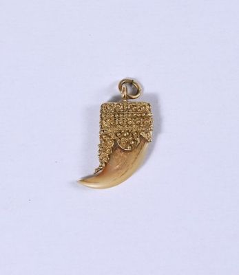 un petit pendentif en or orné d'une grosse dent