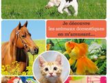 pictures of different animals and birds in this picture