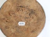 a close up of a plate with a label on it