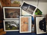 beaucoup de photos qui traînent par terre