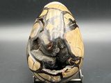 an image of a gold and black stone ring on a stand