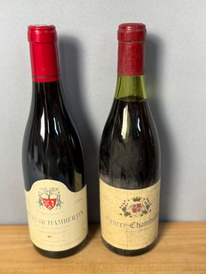Lot de 2 bouteilles de vin rouge de Bourgogne :