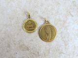 two gold coins with a picture of a horse on them