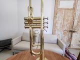a brass trumpet sitting on a wooden table in a living room