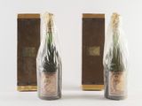 two bottles of wine that are wrapped in plastic