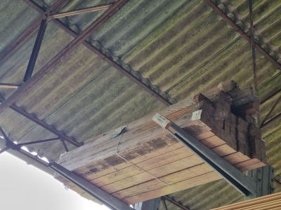 un oiseau perché sur un morceau de bois