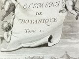 gravure représentant une bannière ornée de chérensils et de chérensils flottant au-dessus d'une ville