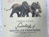 a certificate for a group of elephants that are on display
