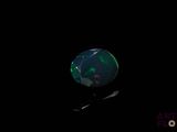 an oplite in the dark with a black background