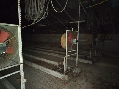 un ventilateur posé au milieu d'une pièce
