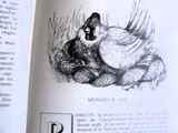 une photo d'un livre sur lequel figure l'image d'un chien