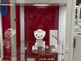 a glass display case with jewelry on it in a store