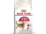 Royal Canin FE1 : croquettes pour chats adultes