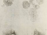 drawing of two heads of a man and a woman with flowers in their hair
