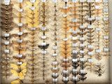 many different types of moths displayed in a display case
