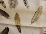 a lot of feathers that are on a sheet