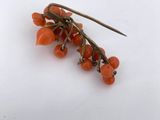 an image of a close up of a bunch of orange berries