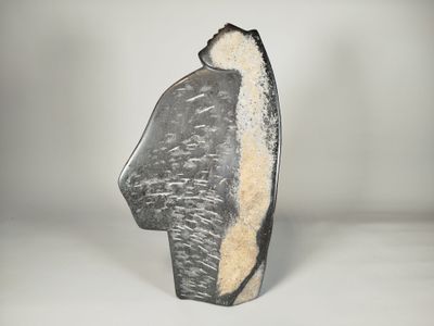 sculpture grise et blanche représentant une tête d'homme sur une surface blanche