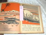 an open book with a picture of an elephant and a crocodile on it