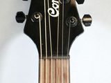 a close up of a guitar with a white background