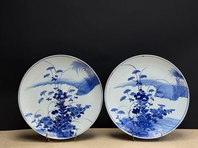 deux assiettes bleues et blanches ornées de fleurs, posées sur une table