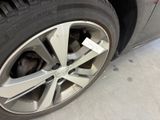 a dog that is sitting under a tire on the ground