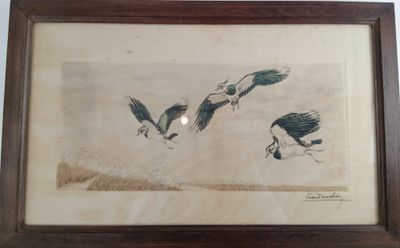 trois oiseaux qui volent ensemble dans le ciel