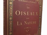 un vieux livre rouge orné d'inscriptions dorées, posé sur une surface blanche
