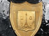 a gold emblem on the front of a black car