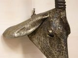 a goat head mounted on the wall of a bathroom