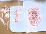 le dessin d'une fleur sur une feuille de papier posée sur une table
