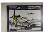 a picture of a picture of a model of a north american p - 51 mustang