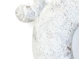 a white sculpture of a fish on a white wall