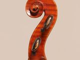 a close up of the back of a violin