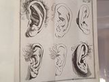 someone is holding a book with a drawing of ear sketches on it