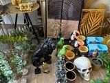 a lot of different items on the floor in the room