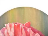a painting of a pink flower in a circle