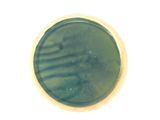 a close up view of a green substance in a bowl