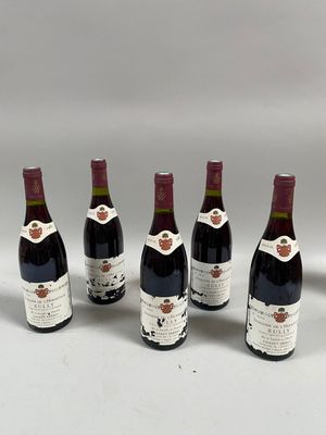 six bouteilles de vin sont alignées sur une surface blanche