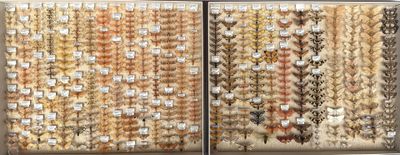 two rows of beads on display in a store window