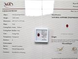 a certificate with a picture of a red apple on it