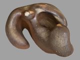 a sculpture of a bear head on a gray background