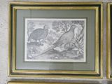 two framed prints of birds on a wall in a living room