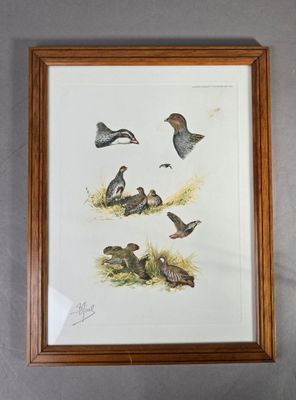 Boris RIABOUCHINSKY dit Boris RIAB (1898-1975) "Etude de Per…