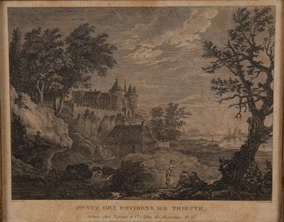 une vieille photo d'un château au milieu d'une zone boisée