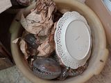 un bol contenant une assiette blanche, posé sur une table