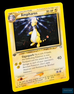 une carte Pokémon sur laquelle figure l'image d'un personnage Pokémon